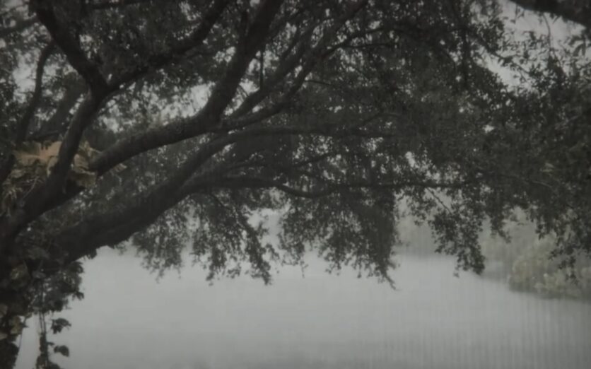 YT_Rain – clean